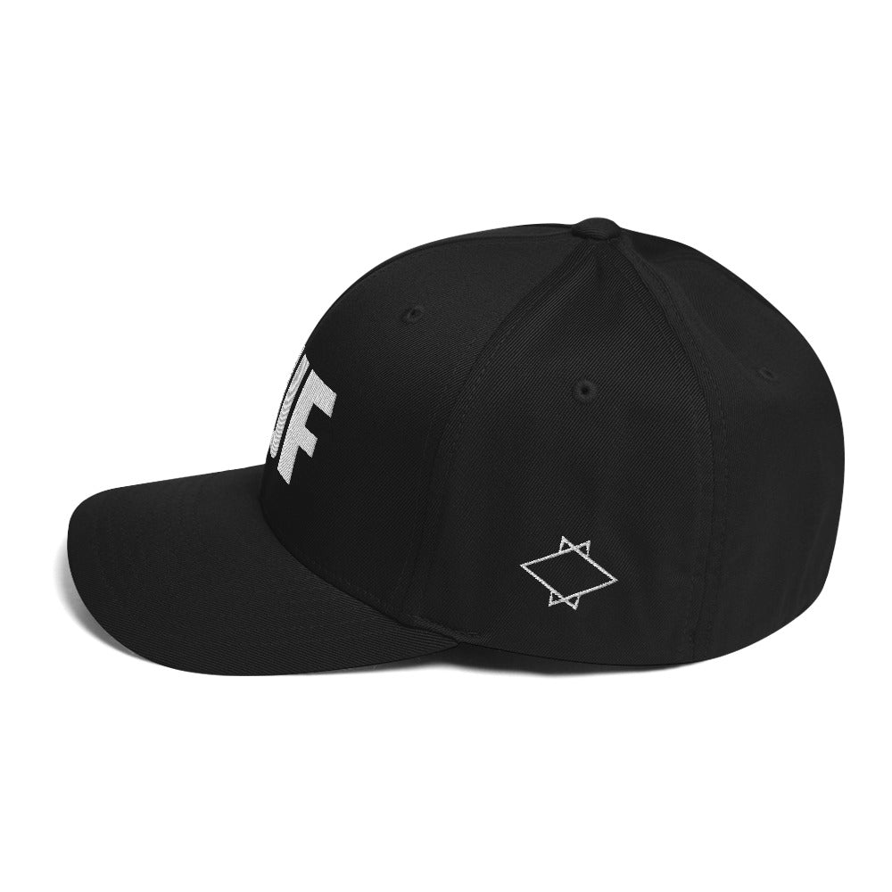 BUF Flex Fit Hat B